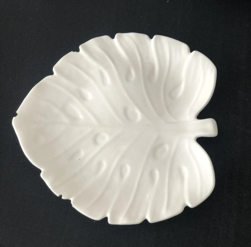 Miska Monstera